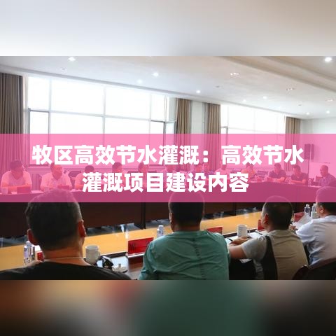 牧區(qū)高效節(jié)水灌溉:高效節(jié)水灌溉項(xiàng)目建設(shè)內(nèi)容