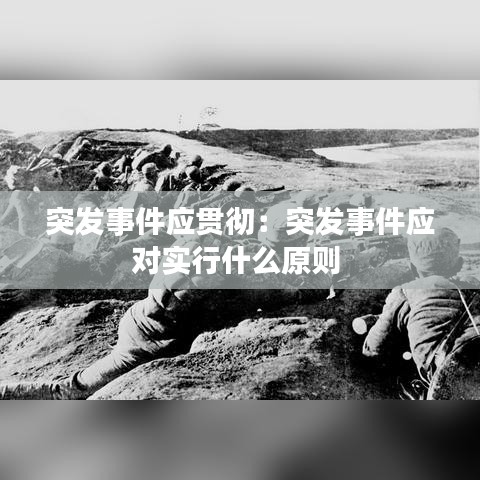 突發事件應貫徹:突發事件應對實行什么原則