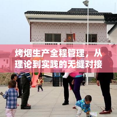 烤煙生產全程管理,從理論到實踐的無縫對接