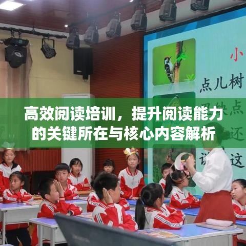 高效閱讀培訓，提升閱讀能力的關(guān)鍵所在與核心內(nèi)容解析