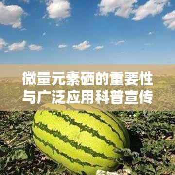 微量元素硒的重要性與廣泛應用科普宣傳啟動！