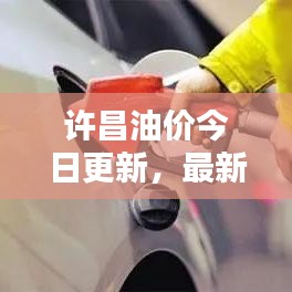 許昌油價今日更新，最新油價信息一覽
