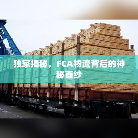 獨家揭秘,FCA物流背后的神秘面紗