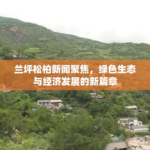 蘭坪松柏新聞聚焦,綠色生態與經濟發展的新篇章
