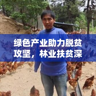綠色產業助力脫貧攻堅,林業扶貧深度報道