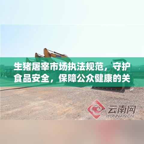 生豬屠宰市場(chǎng)執(zhí)法規(guī)范,守護(hù)食品安全,保障公眾健康的關(guān)鍵環(huán)節(jié)