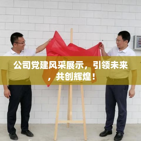 公司黨建風采展示,引領未來,共創輝煌!