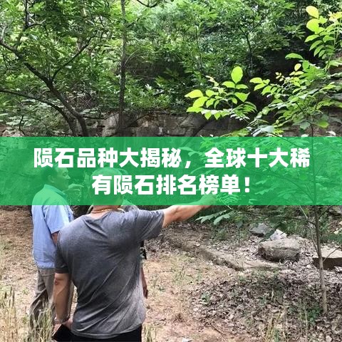 隕石品種大揭秘，全球十大稀有隕石排名榜單！