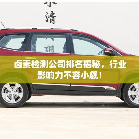 鹵素檢測公司排名揭秘,行業(yè)影響力不容小覷!