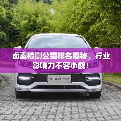 鹵素檢測公司排名揭秘,行業(yè)影響力不容小覷!
