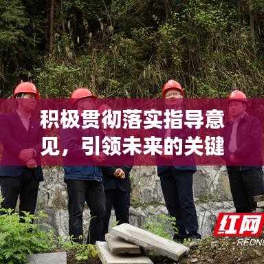 積極貫徹落實指導意見,引領未來的關鍵行動指南