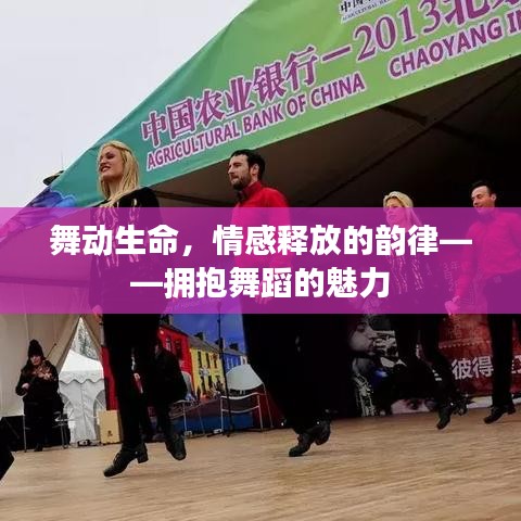 舞動(dòng)生命,情感釋放的韻律——擁抱舞蹈的魅力