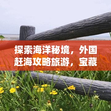 探索海洋秘境，外國趕海攻略旅游，寶藏之旅開啟！