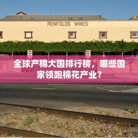 全球產(chǎn)棉大國排行榜,哪些國家領(lǐng)跑棉花產(chǎn)業(yè)?