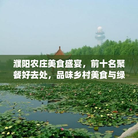 濮陽農莊美食盛宴,前十名聚餐好去處,品味鄉村美食與綠意盎然之旅