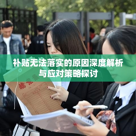 補(bǔ)貼無法落實(shí)的原因深度解析與應(yīng)對策略探討