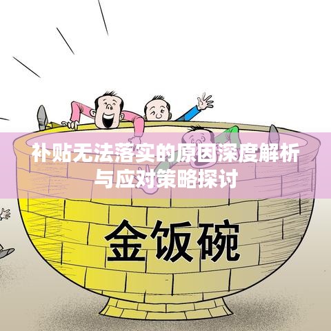 補(bǔ)貼無法落實(shí)的原因深度解析與應(yīng)對策略探討