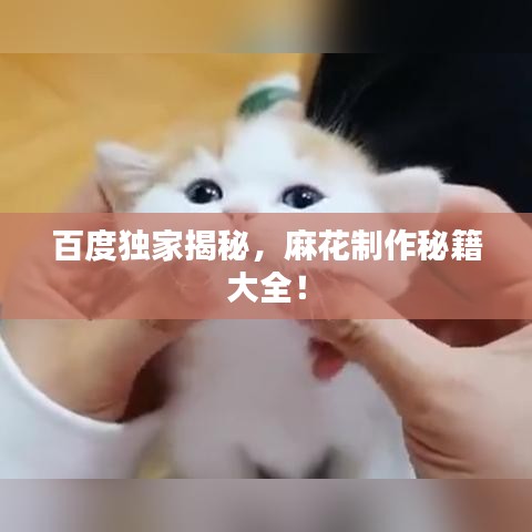 百度獨(dú)家揭秘,麻花制作秘籍大全!