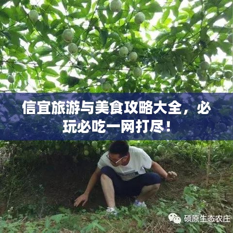 信宜旅游與美食攻略大全,必玩必吃一網打盡!