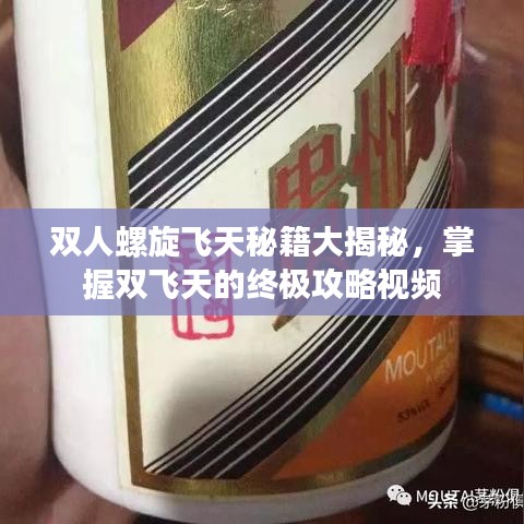 雙人螺旋飛天秘籍大揭秘,掌握雙飛天的終極攻略視頻