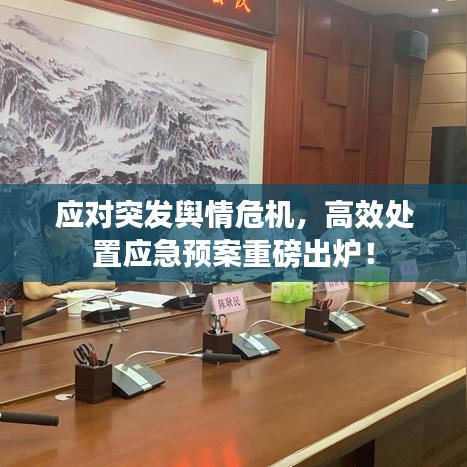 應(yīng)對突發(fā)輿情危機,高效處置應(yīng)急預(yù)案重磅出爐!