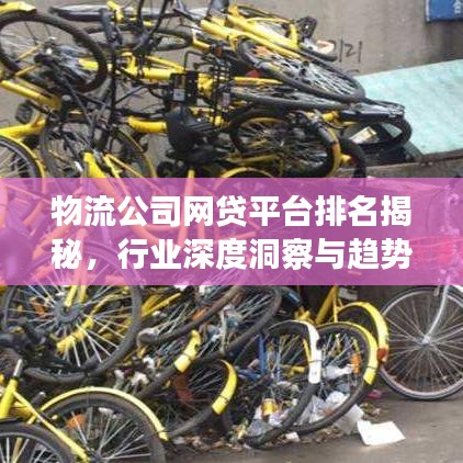 物流公司網(wǎng)貸平臺排名揭秘,行業(yè)深度洞察與趨勢展望