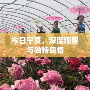 今日寧夏,深度觀察與獨特感悟