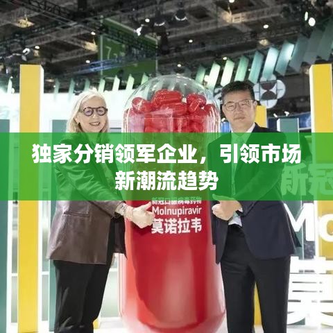 獨家分銷領軍企業,引領市場新潮流趨勢