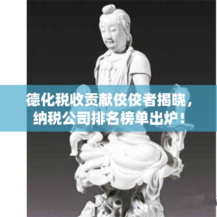 德化稅收貢獻佼佼者揭曉,納稅公司排名榜單出爐!
