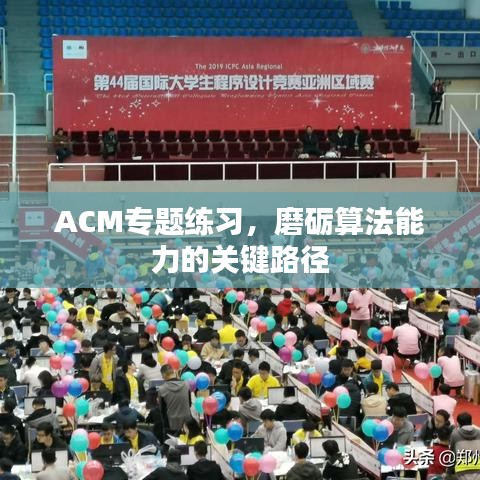 ACM專題練習(xí),磨礪算法能力的關(guān)鍵路徑