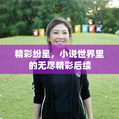 精彩紛呈,小說世界里的無盡精彩后續(xù)