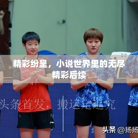 精彩紛呈,小說世界里的無盡精彩后續(xù)