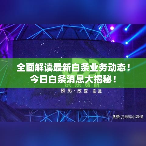 全面解讀最新白條業務動態!今日白條消息大揭秘!