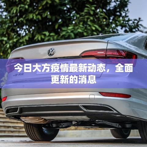 今日大方疫情最新動(dòng)態(tài),全面更新的消息
