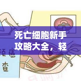 死亡細胞新手攻略大全，輕松上手游戲秘籍！