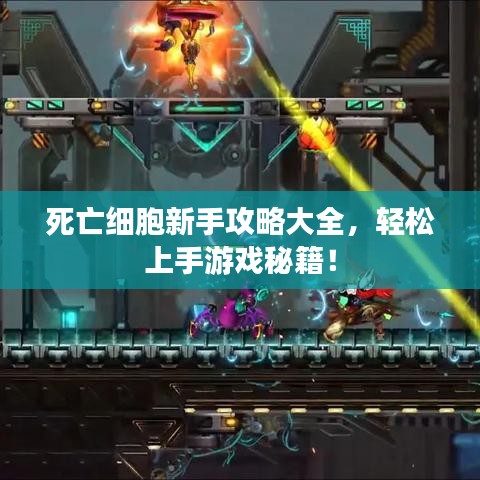 死亡細(xì)胞新手攻略大全,輕松上手游戲秘籍!