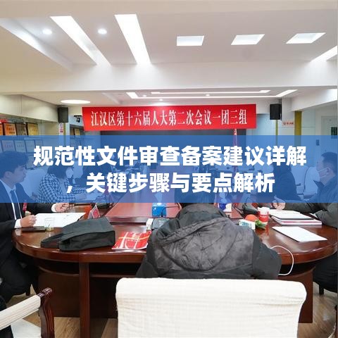 規(guī)范性文件審查備案建議詳解,關(guān)鍵步驟與要點(diǎn)解析