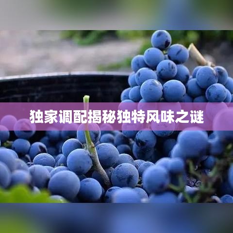 獨家調(diào)配揭秘獨特風味之謎