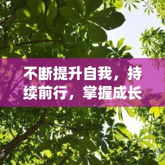 不斷提升自我,持續(xù)前行,掌握成長(zhǎng)秘訣,邁向成功之路