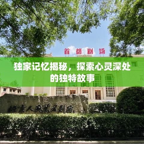 獨家記憶揭秘,探索心靈深處的獨特故事