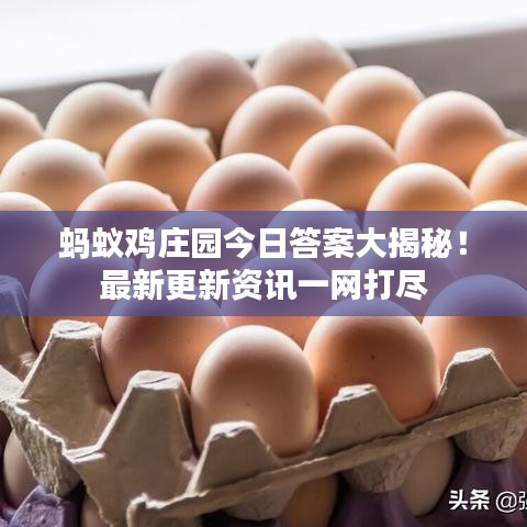 螞蟻雞莊園今日答案大揭秘!最新更新資訊一網打盡
