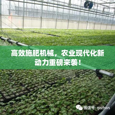 高效施肥機械,農業現代化新動力重磅來襲!