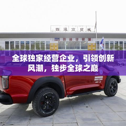 全球獨家經營企業,引領創新風潮,獨步全球之巔
