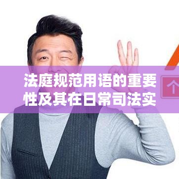 法庭規(guī)范用語的重要性及其在日常司法實踐中的應用