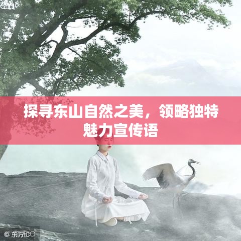 探尋東山自然之美,領(lǐng)略獨(dú)特魅力宣傳語(yǔ)