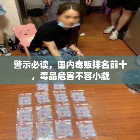 警示必讀,國內毒販排名前十,毒品危害不容小覷