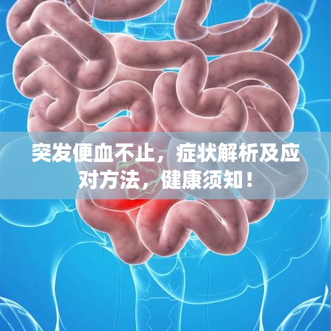 突發(fā)便血不止，癥狀解析及應(yīng)對方法，健康須知！