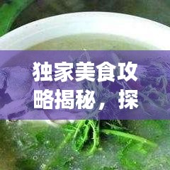 獨家美食攻略揭秘,探索味蕾盛宴的極致之旅