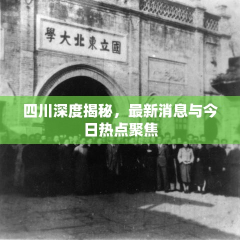 四川深度揭秘，最新消息與今日熱點(diǎn)聚焦