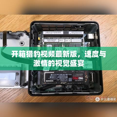 開箱獵豹視頻最新版,速度與激情的視覺盛宴